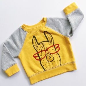 Cat & Jack Baby Hipster Llama Sweater (12Mo)